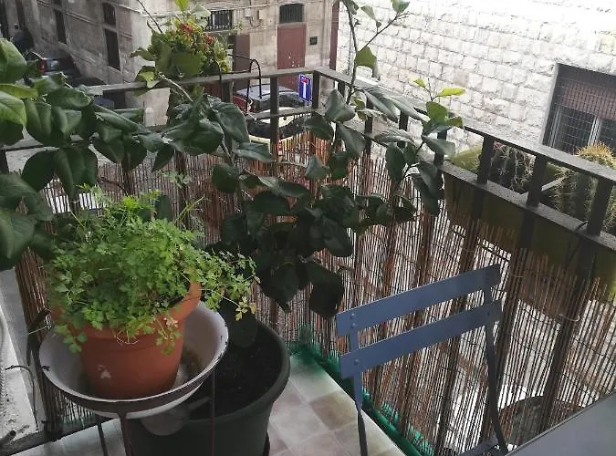 Giorgia's House Apartamento *